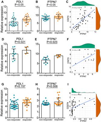 Comprehensive analysis of PTPN gene family revealing PTPN7 as a novel biomarker for immuno-hot tumors in breast cancer